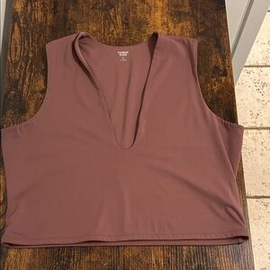 Express Mauve V-Neck Crop Top
